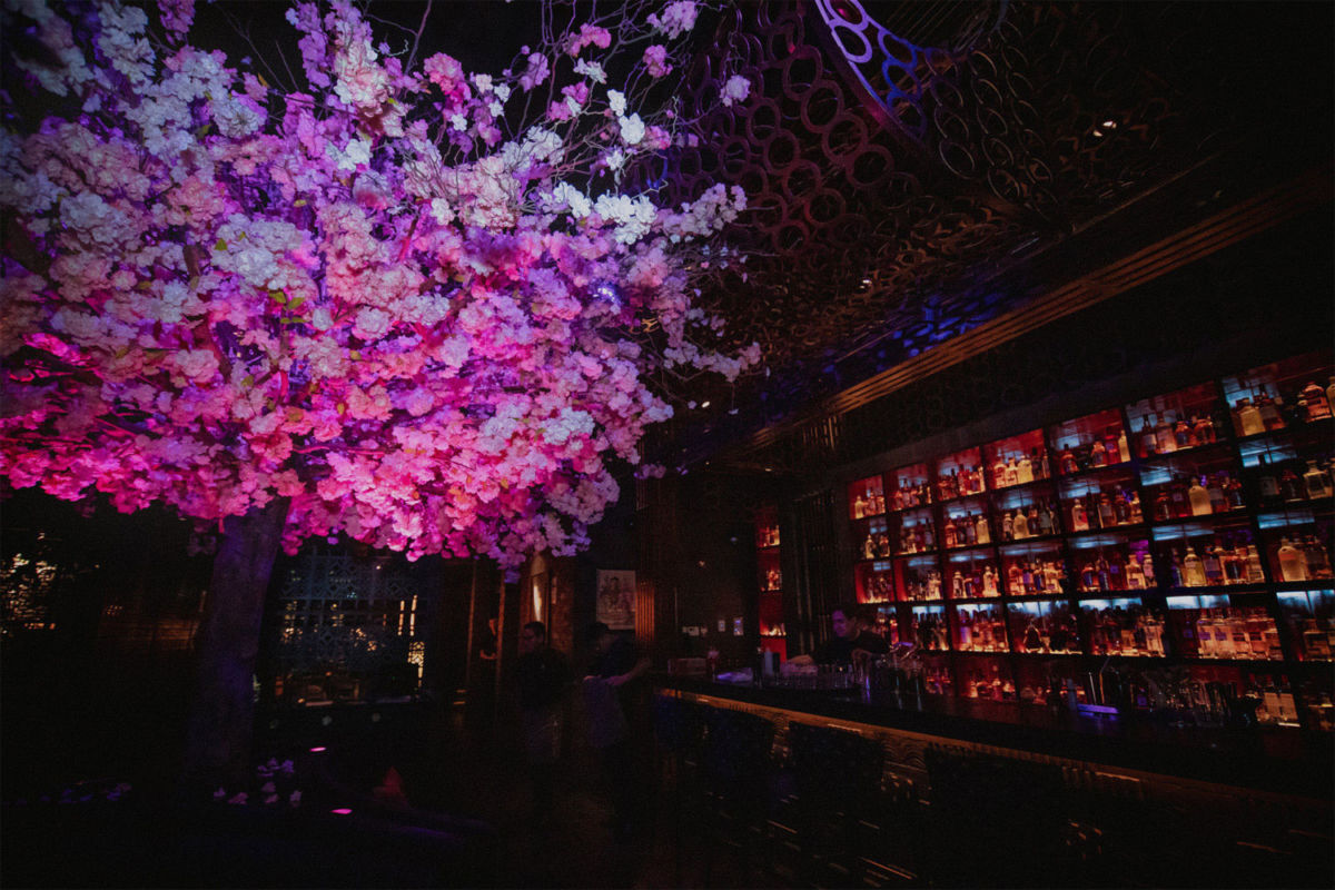 alta cocina chifa en lima