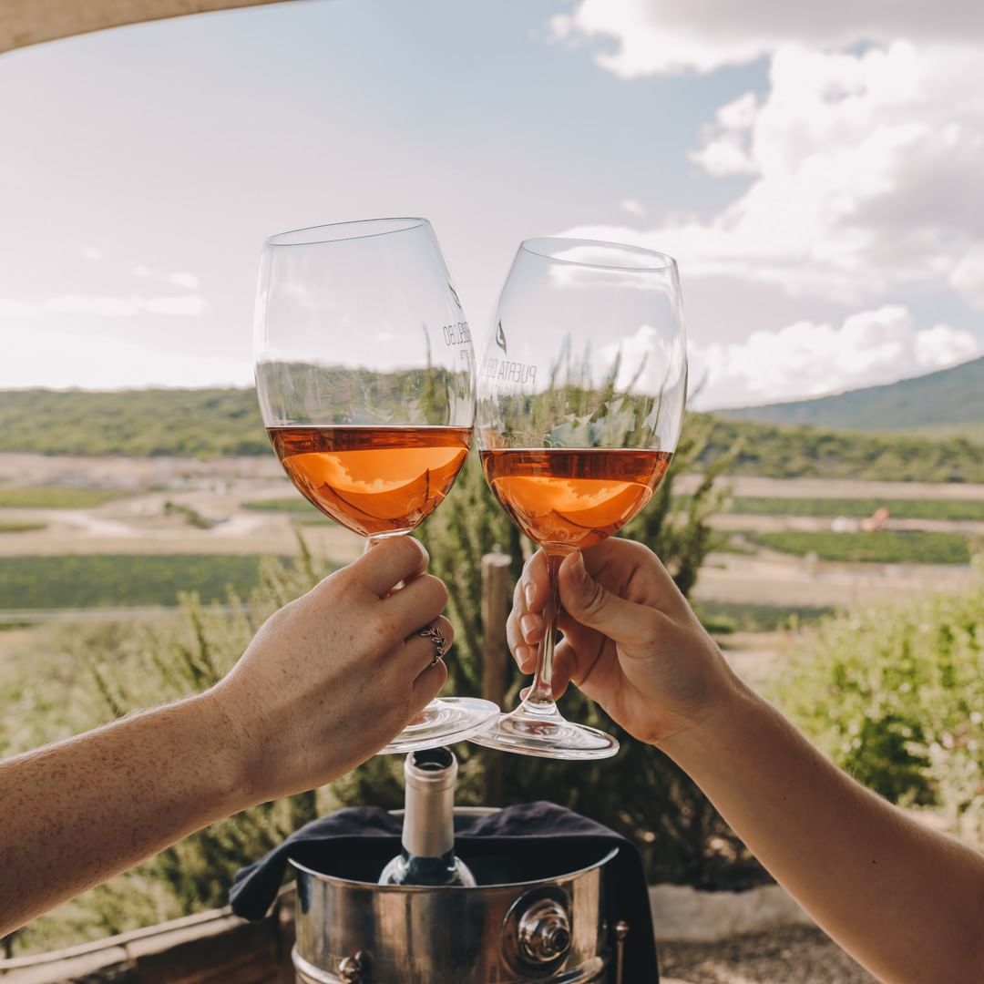 viñedos en Peña de Bernal