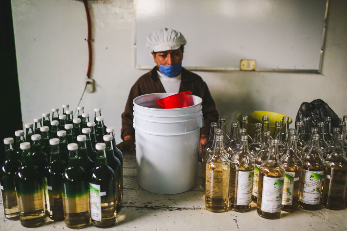 pueblos mágicos manzana