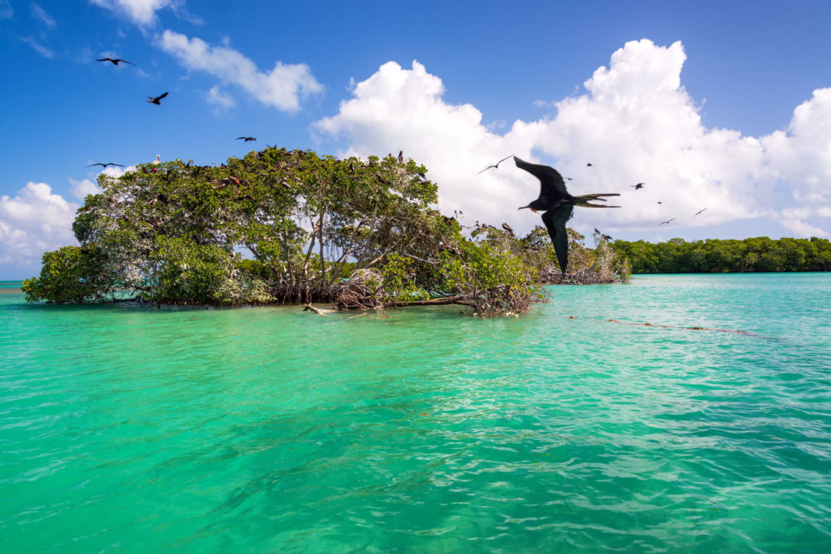 reserva natural en Tulum