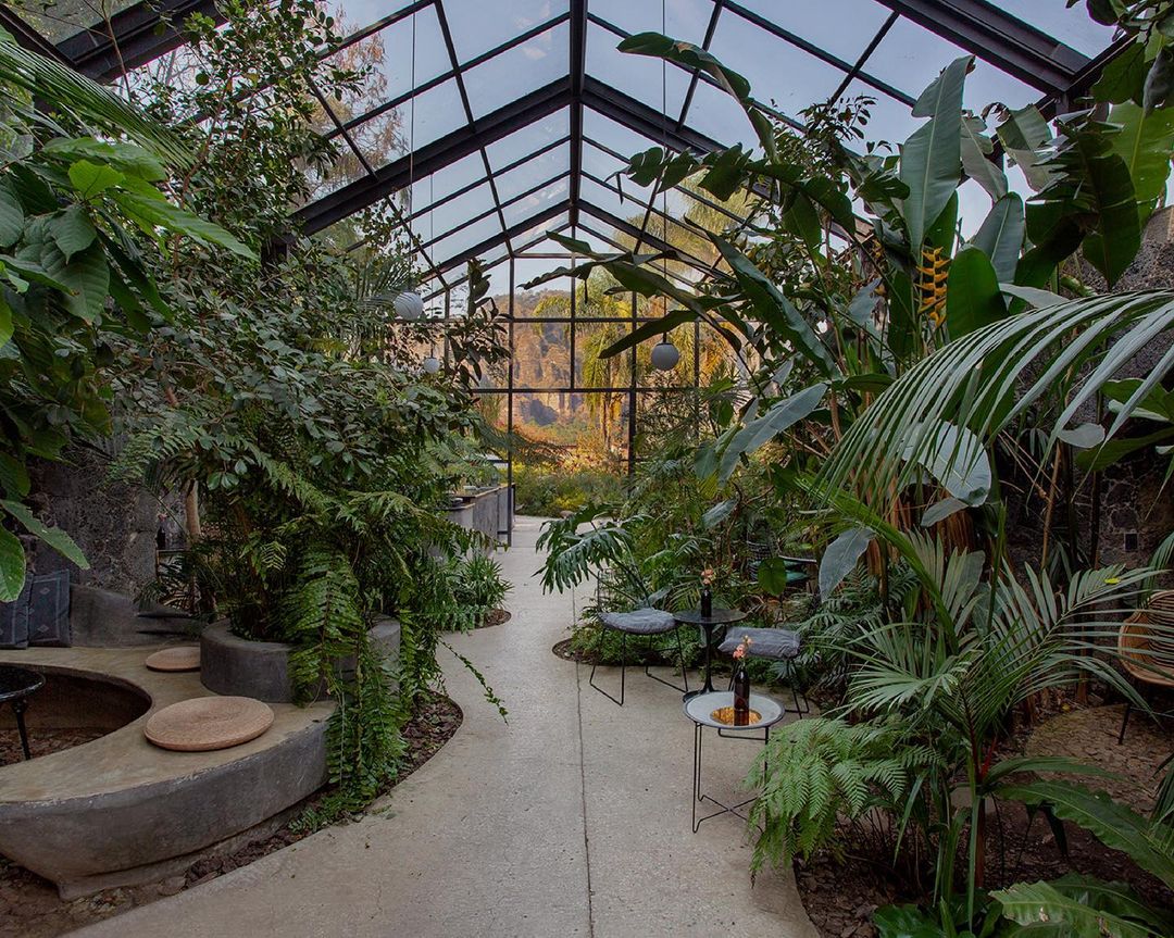 donde comer en Tepoztlán