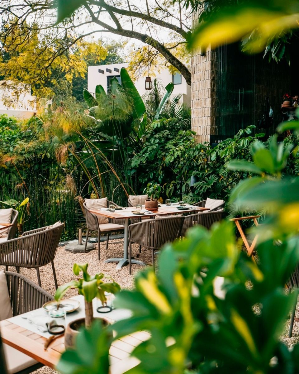 jardines en Tepoztlán