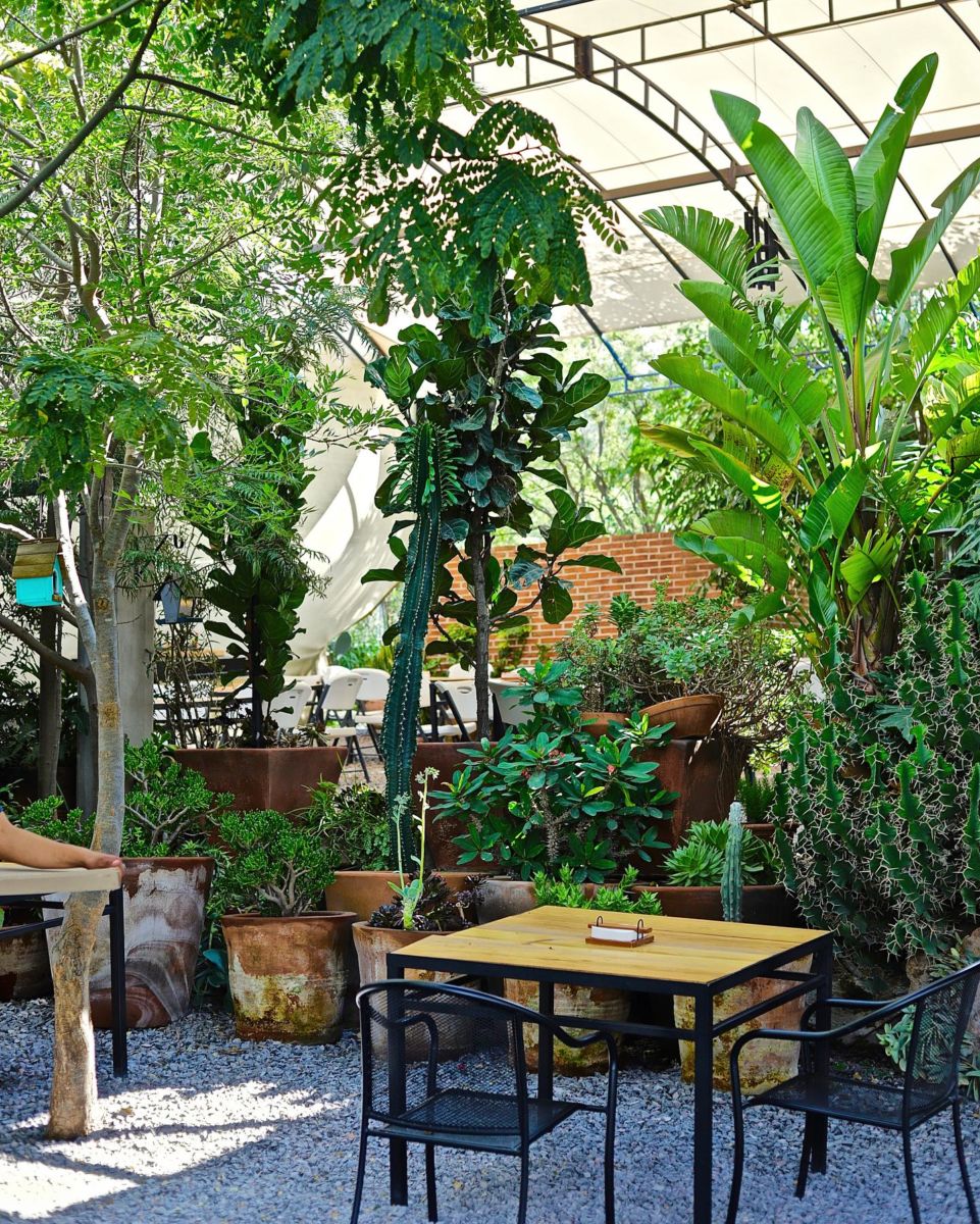 Descubre el restaurante al aire libre en Querétaro con su propio huerto (perfecto para brunch de fin de semana)