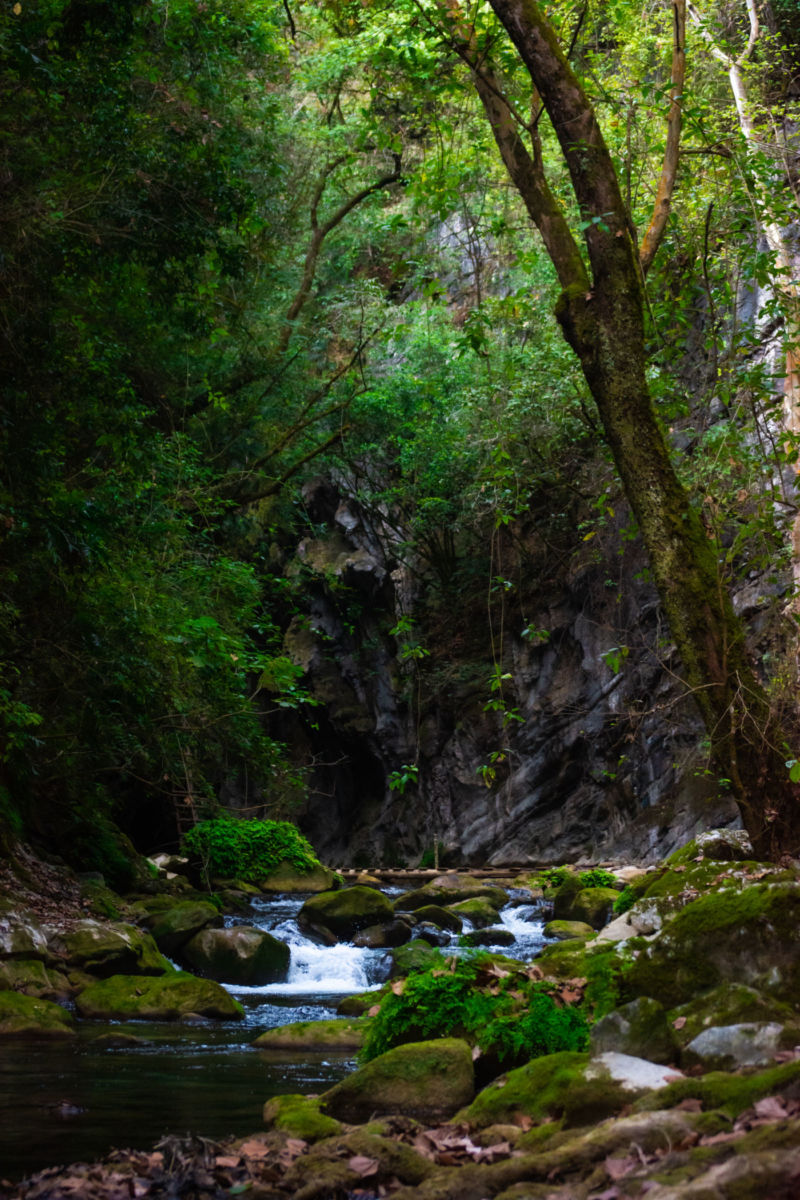 maravillas naturales de México