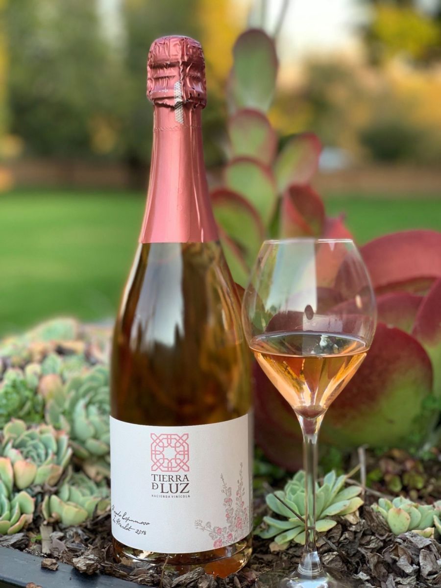 ruta del vino jalisco