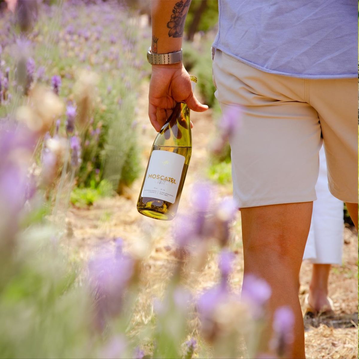 ruta del vino jalisco