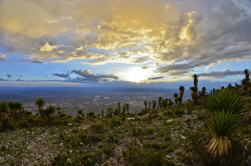 astroturismo en méxico