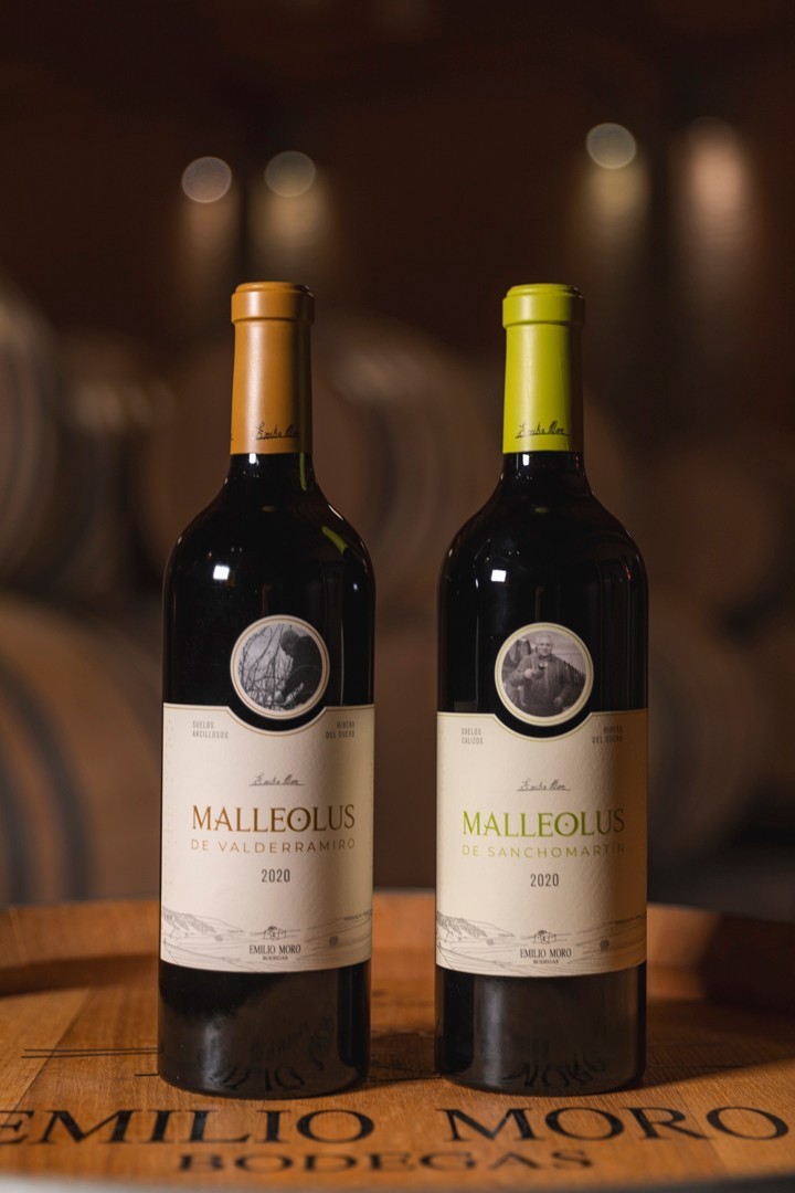 mejores vinos españoles