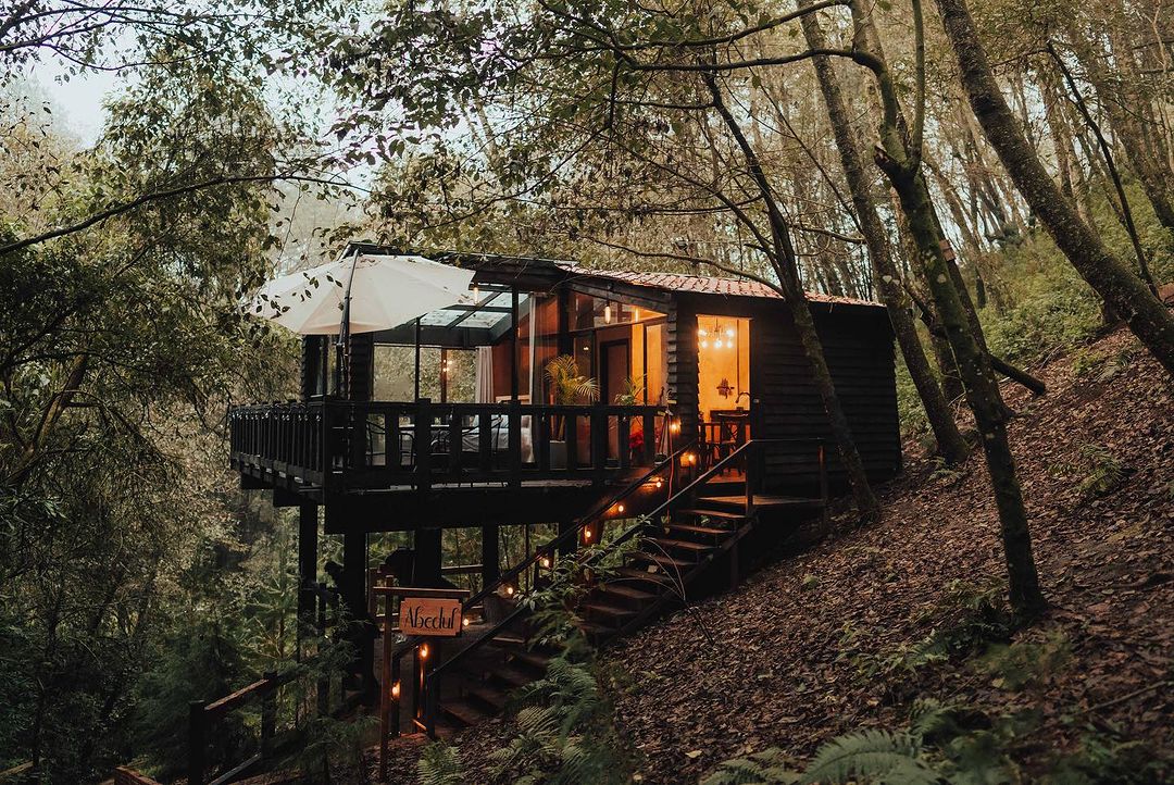 El bosque de niebla más bonito en Veracruz también tiene cabañas de lujo (a 2 horas de Puebla)