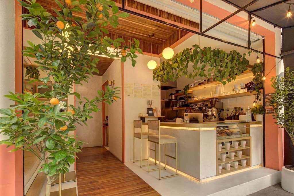 cafetería en la Condesa
