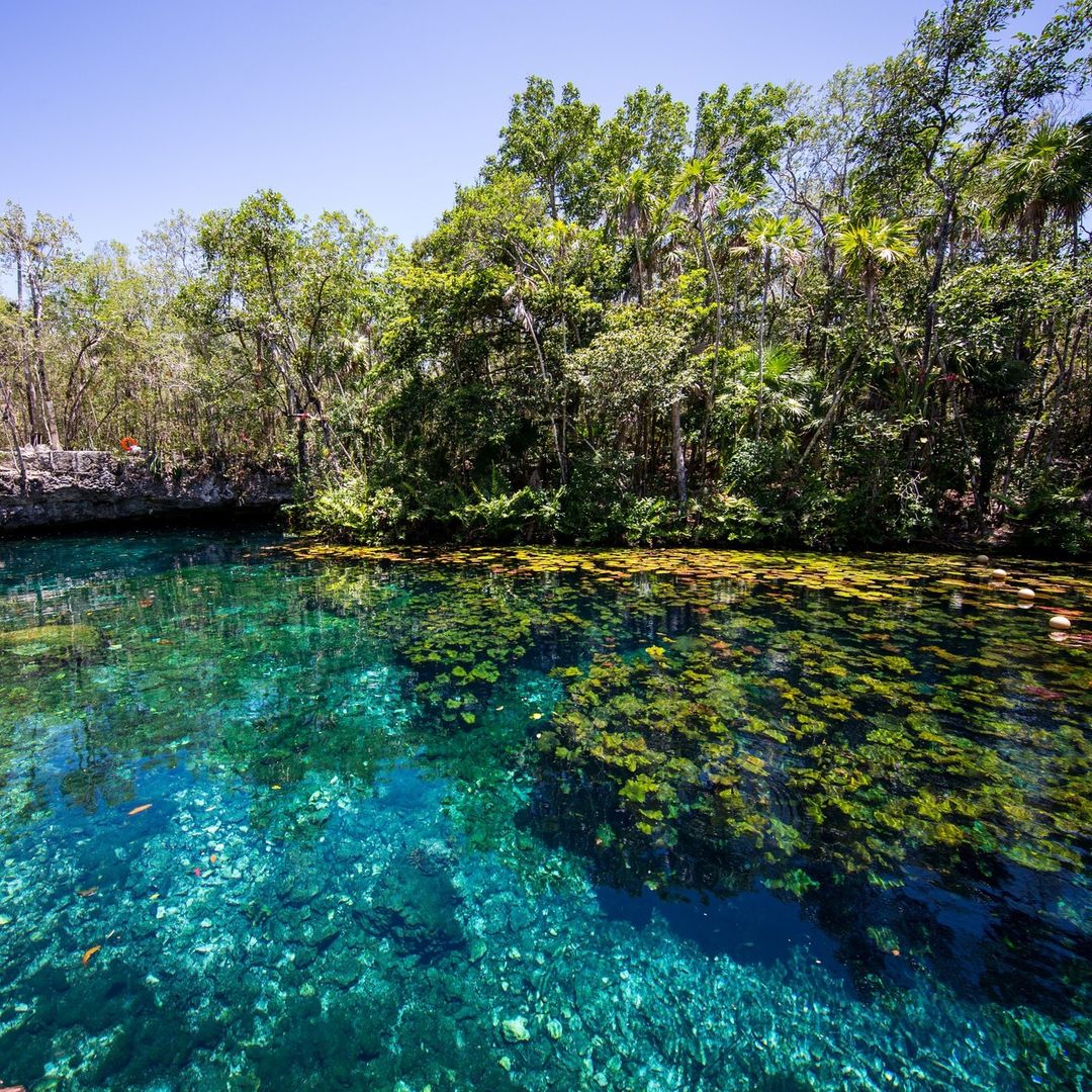 Cenote Cocalitos