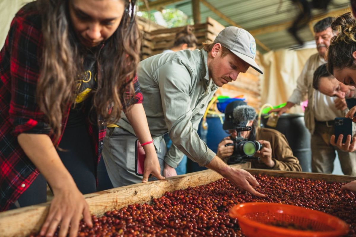 8 museos, fincas, cafeterías y hospedajes en el Pueblo Mágico más bello de Veracruz