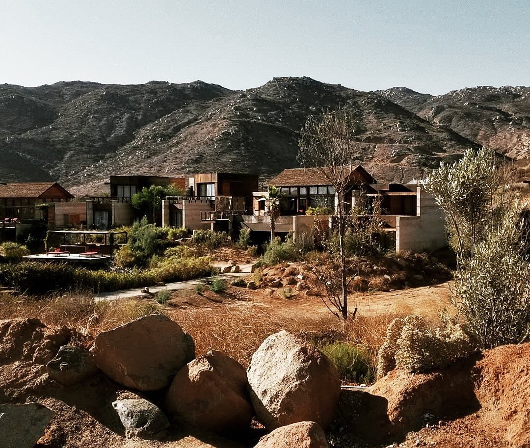 hospedaje en viñedos 