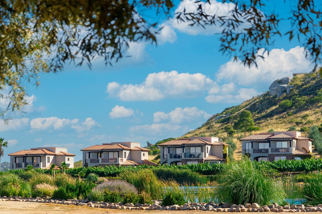 hoteles con viñedos 