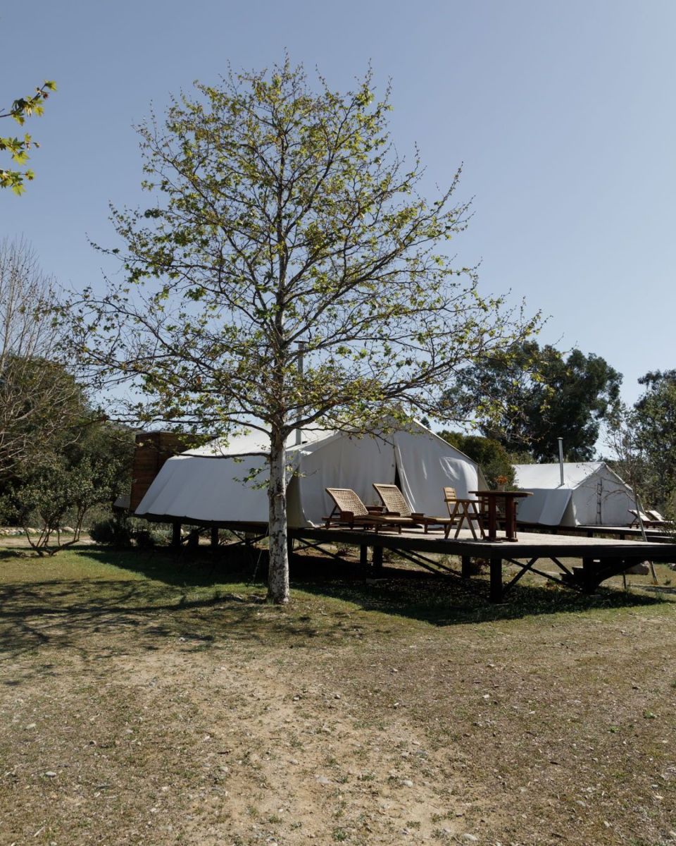 glamping en medio de viñedos 