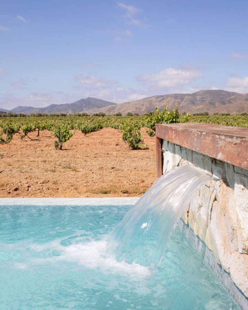Hoteles con viñedos en México