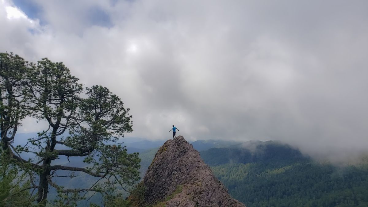 observador en el estado de Oaxaca 