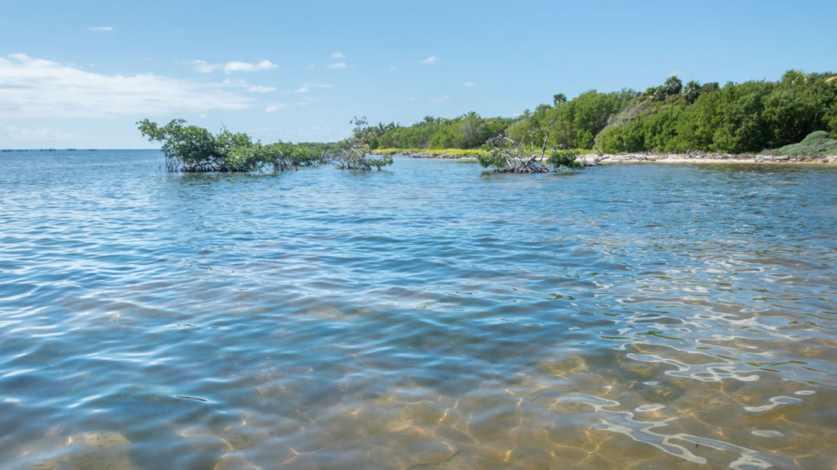 a dónde ir en Quintana Roo