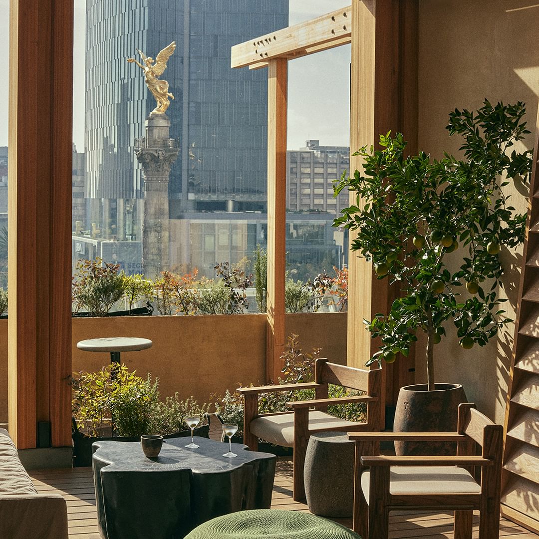 gastronomía asiática en CDMX