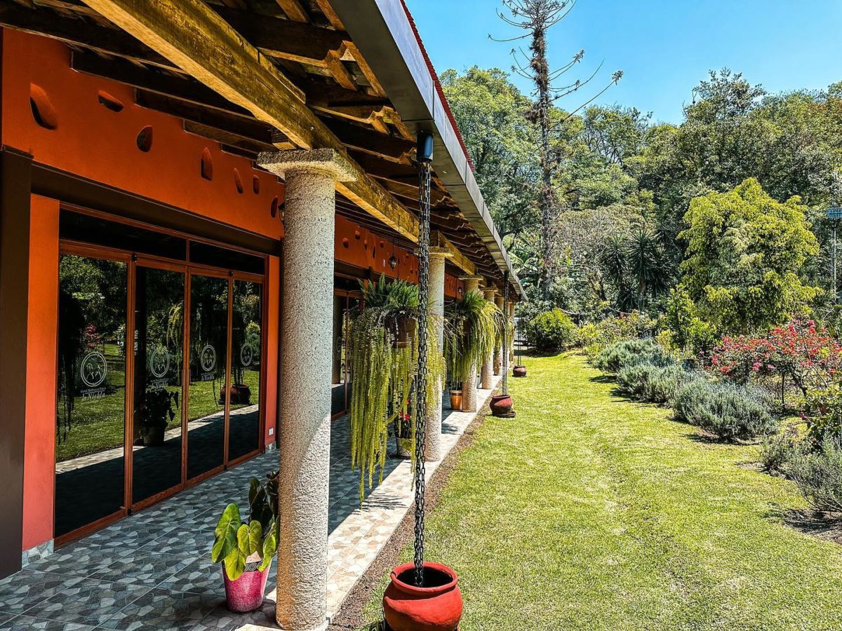 Ruta del Café en Coatepec