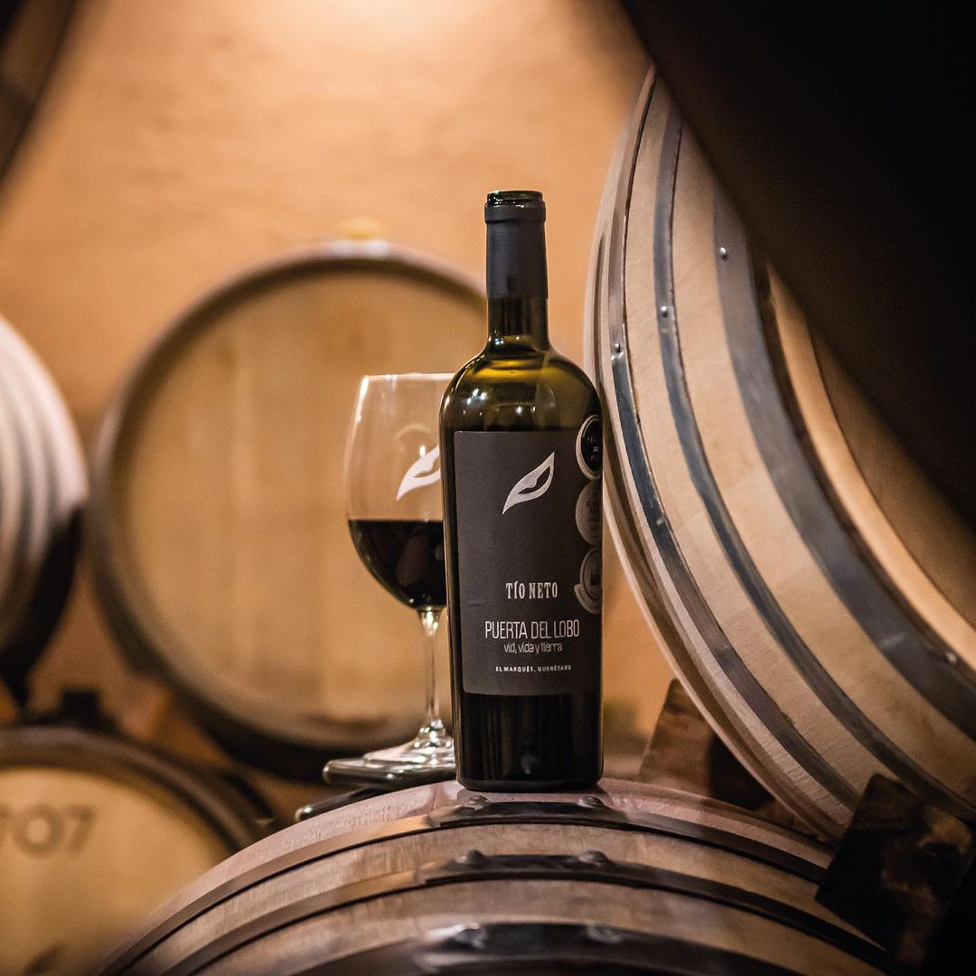 Puerta del Lobo Tío Neto