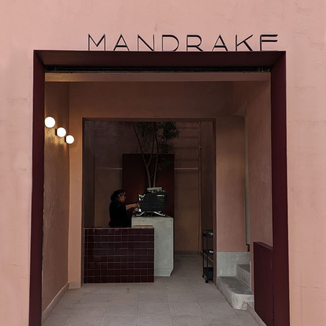 café mandrake la roma