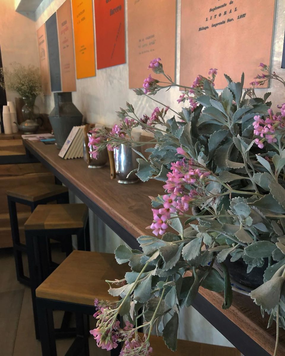 cafetería en Coyoacán
