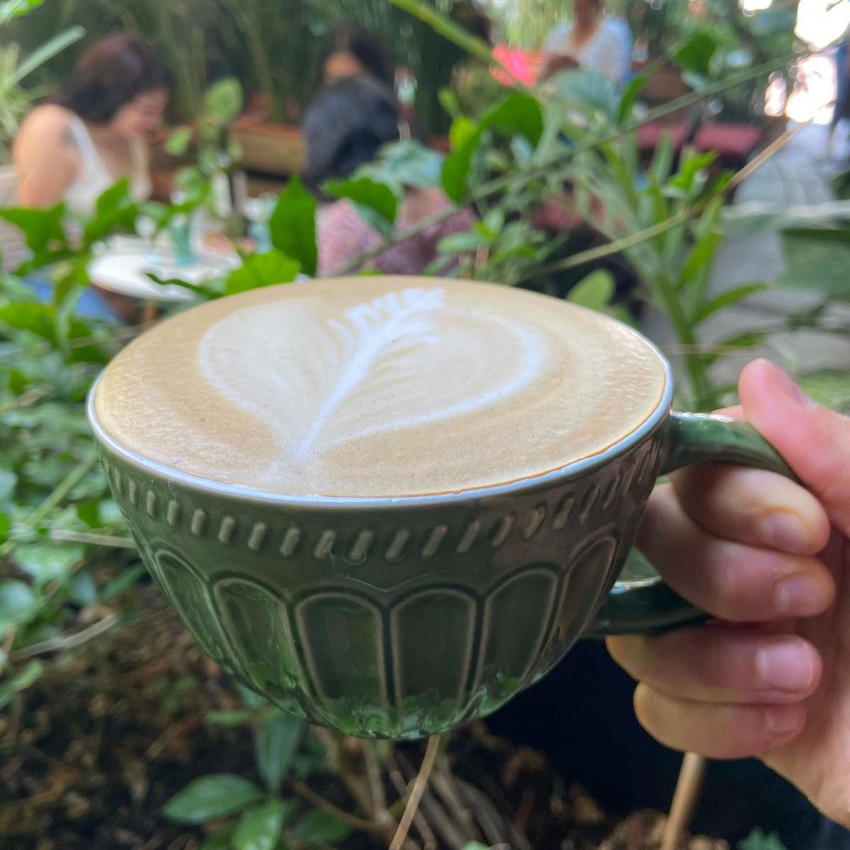 café en Querétaro
