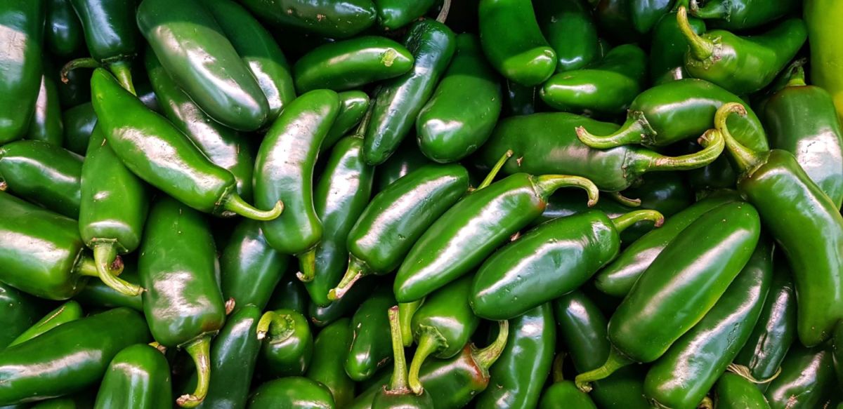 Chiles mexicanos