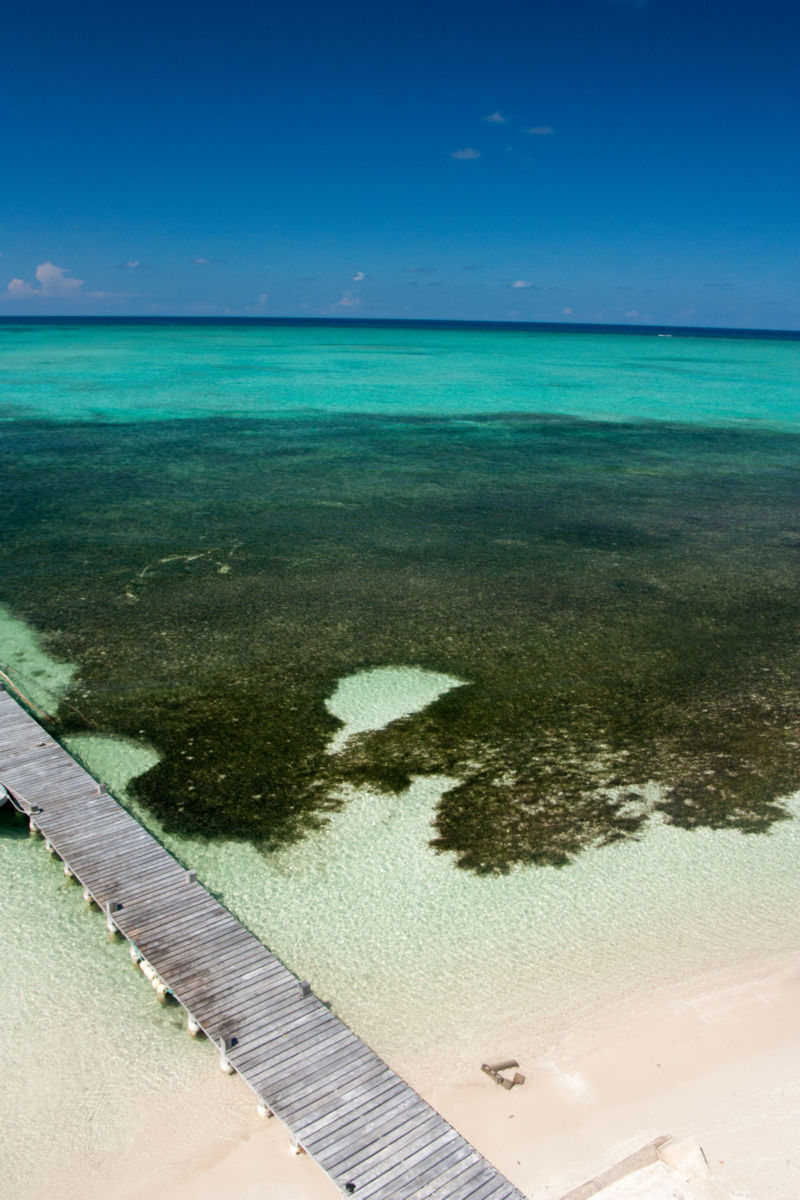 Biósfera Banco Chinchorro, Mahahual 