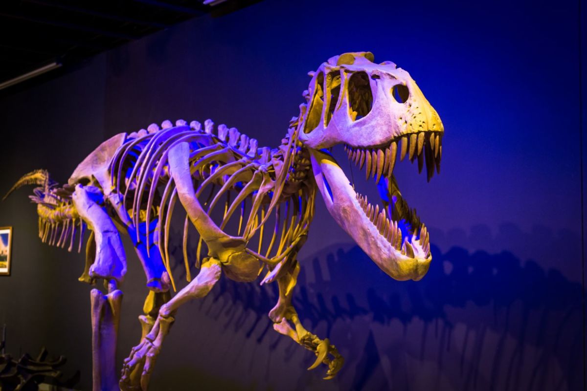 4 destinos en México que todo amante de los dinosaurios debe conocer