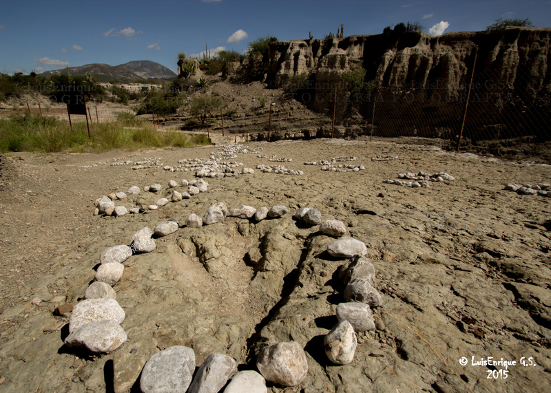 Reserva de la Biósfera Tehuacán-Cuicatlán