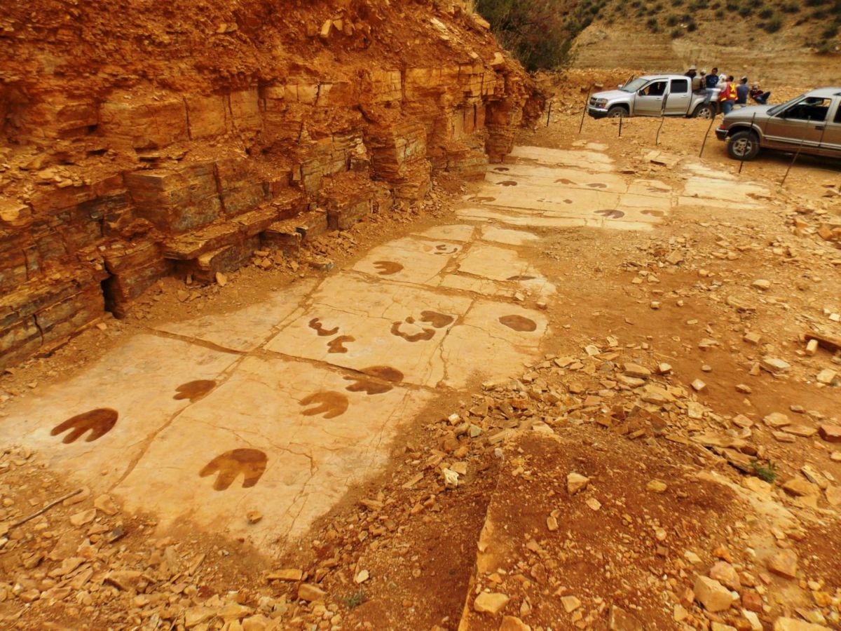 Ruta de los dinosaurios