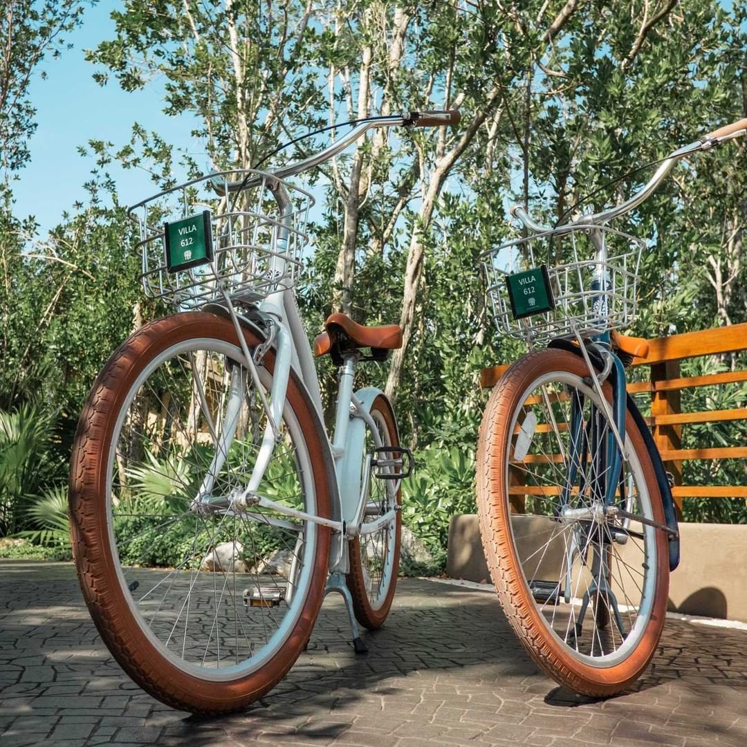 Actividades en bicicleta