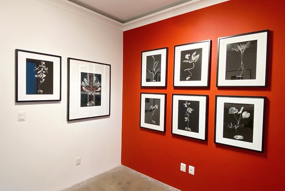 exposiciones en cdmx