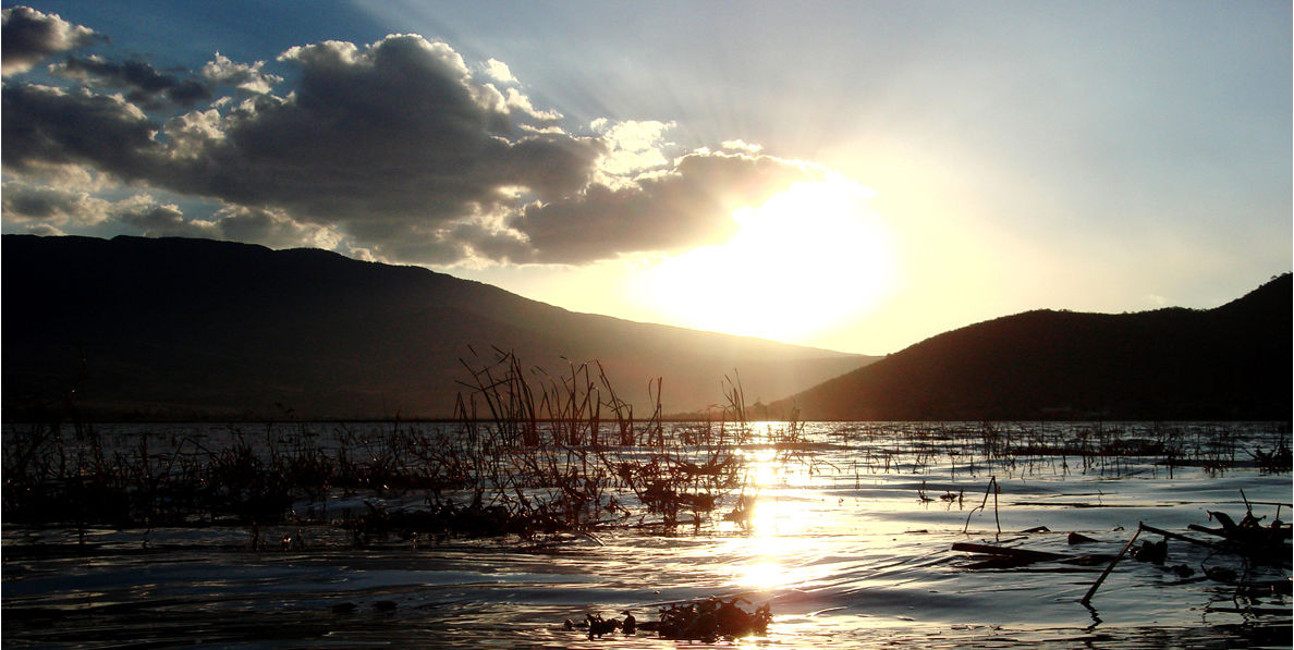 Esta laguna en Jalisco es hogar de más de 60 especies de aves (cada escenario será maravilloso)