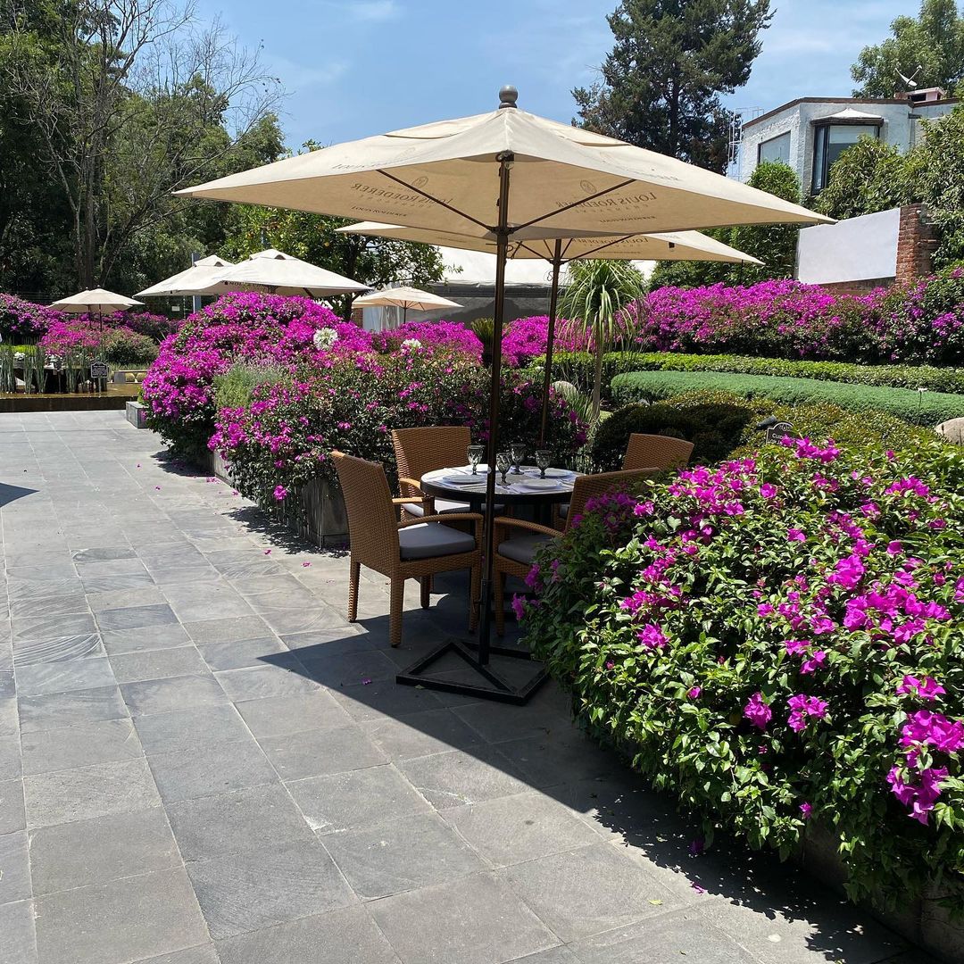 restaurantes para desayunar en san angel 