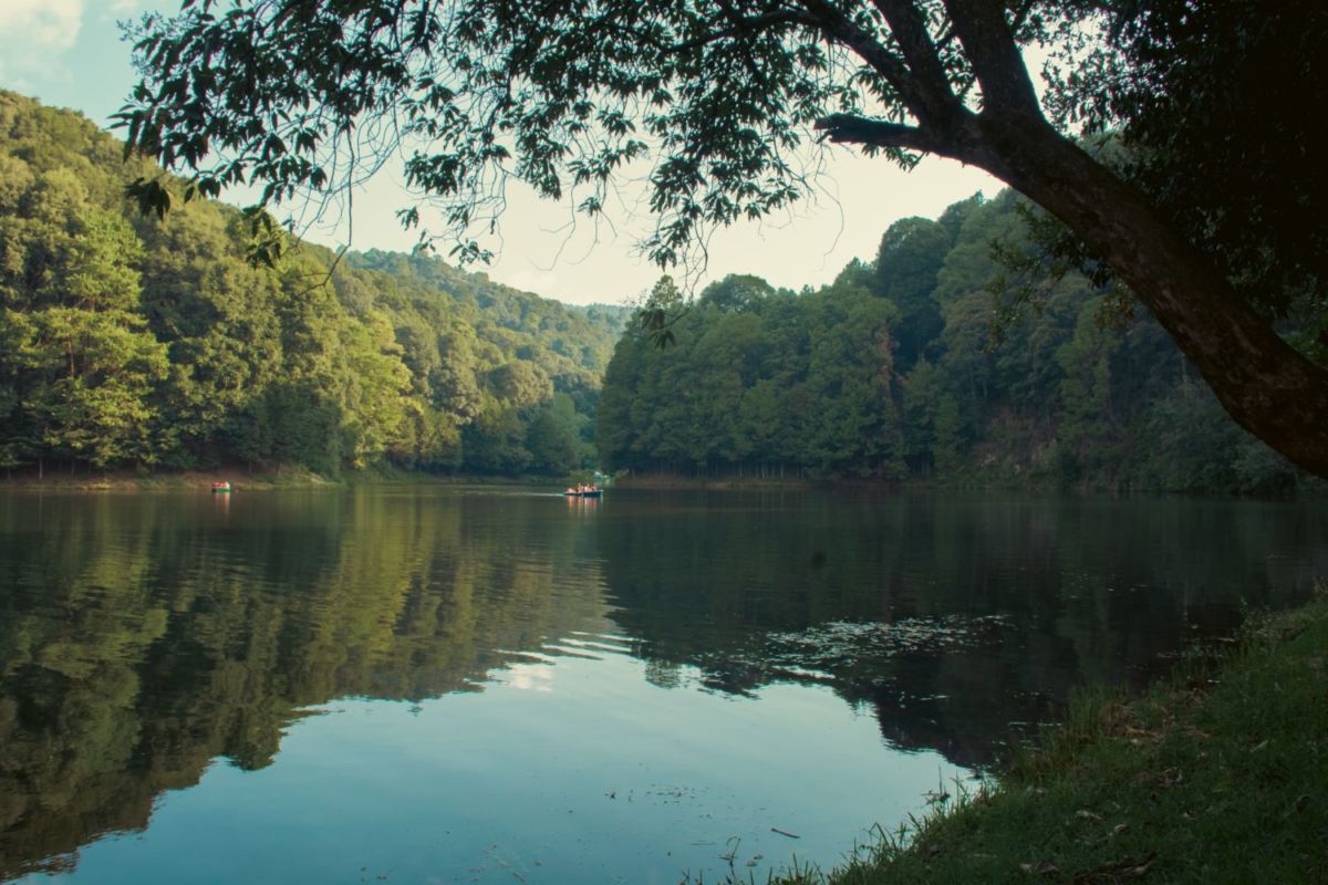 Casi nadie conoce esta presa con tirolesas, paseos en lancha y cabañas (a 2 horas de la CDMX)