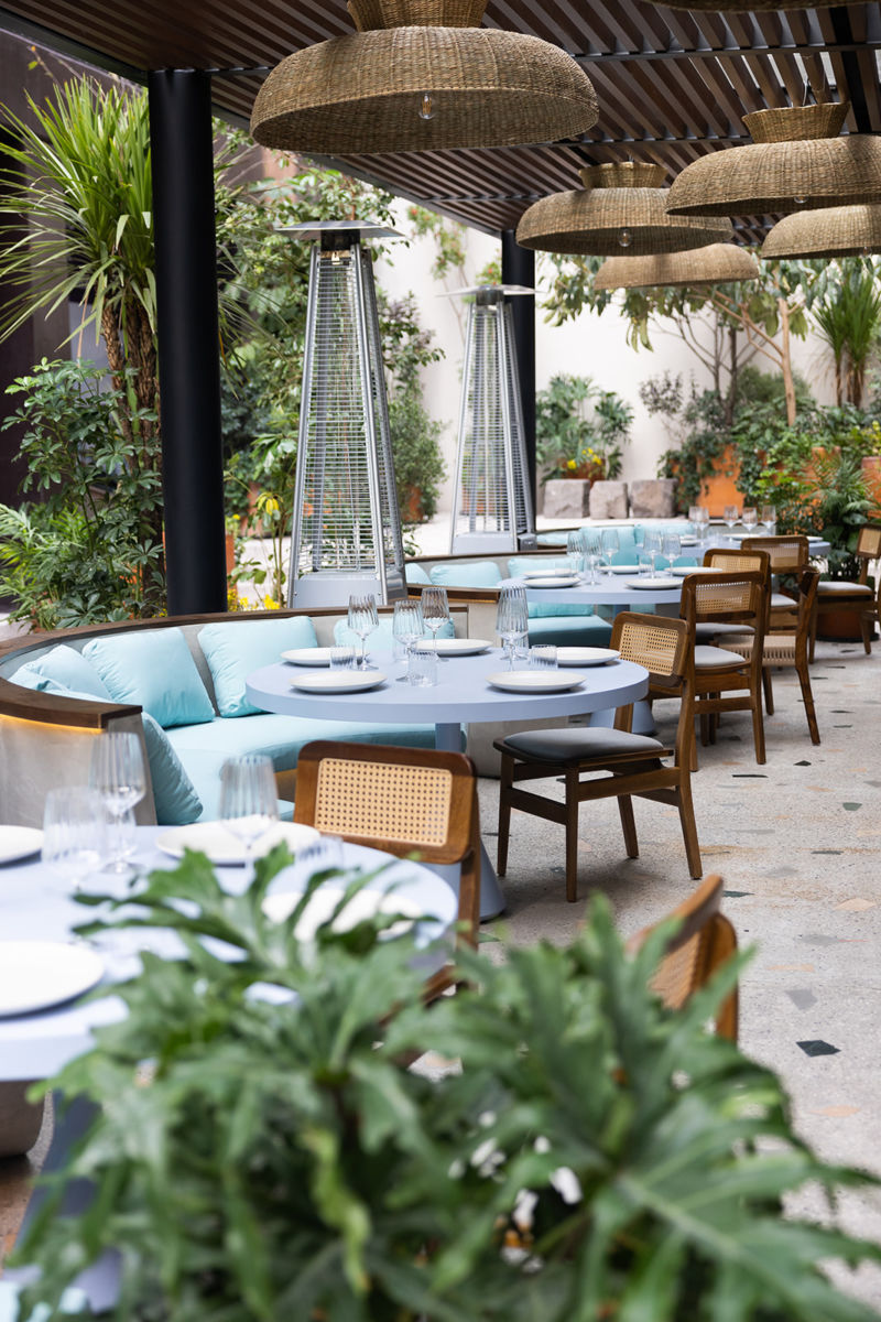 restaurantes para cenar en CDMX