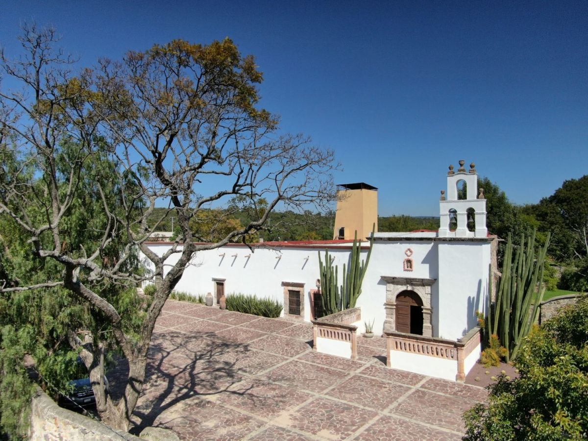 Este es el viñedo oculto en uno de los Pueblos Mágicos más bonitos de Jalisco