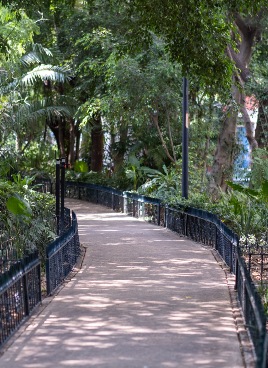 Caminar por la condesa