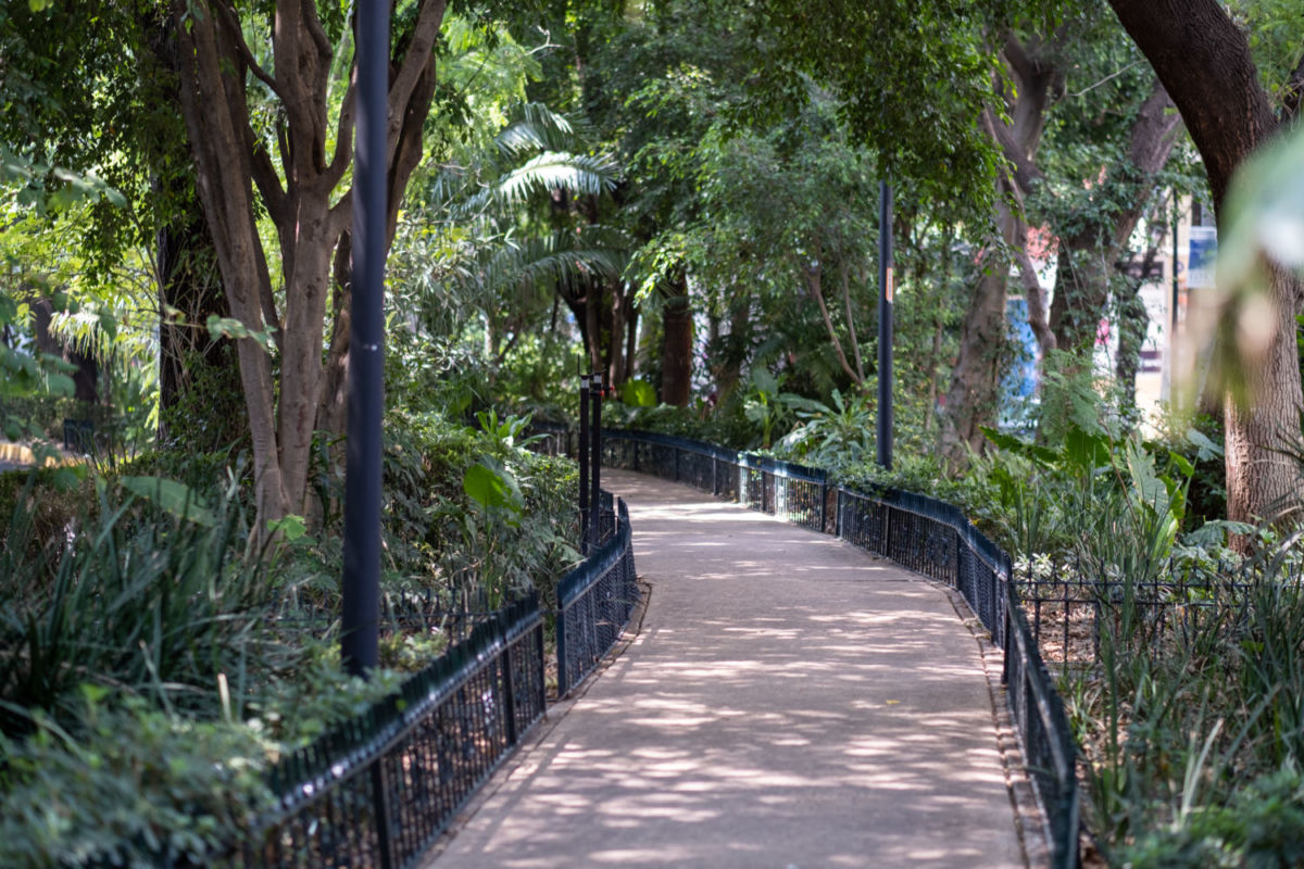 Camellón de Ámsterdam