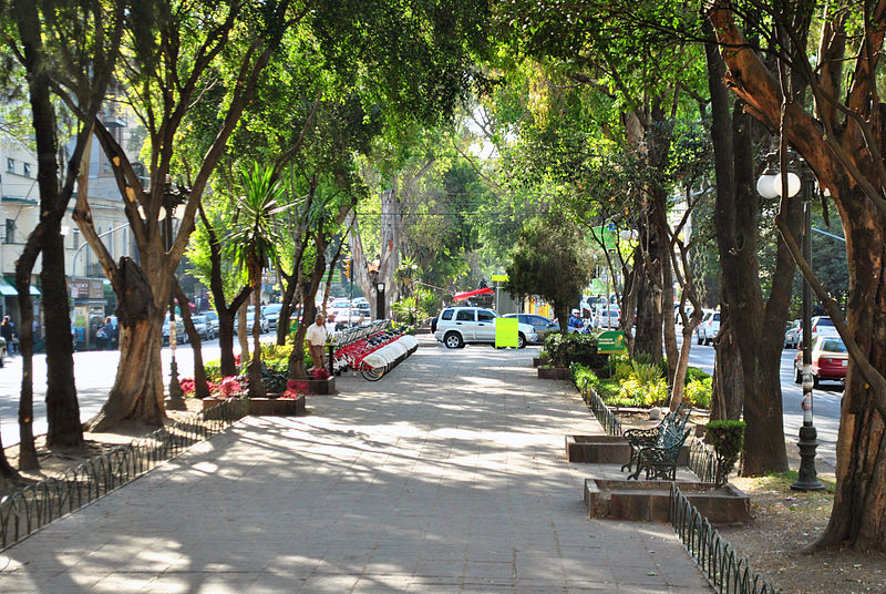 Camellón de Avenida Álvaro Obregón