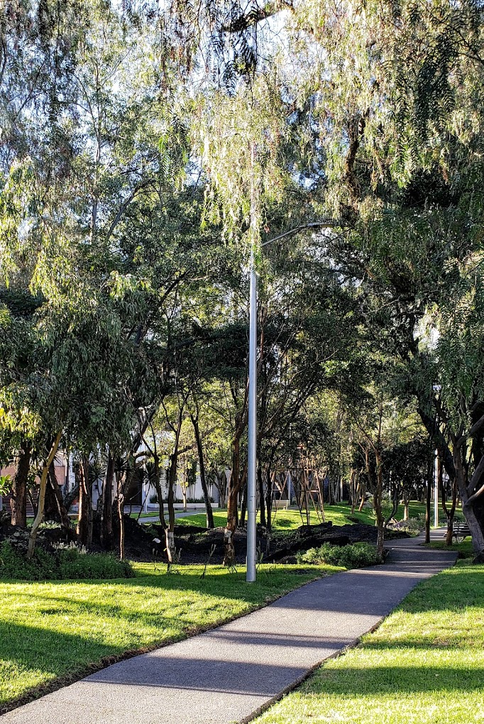 Camellón de Boulevard de la Luz