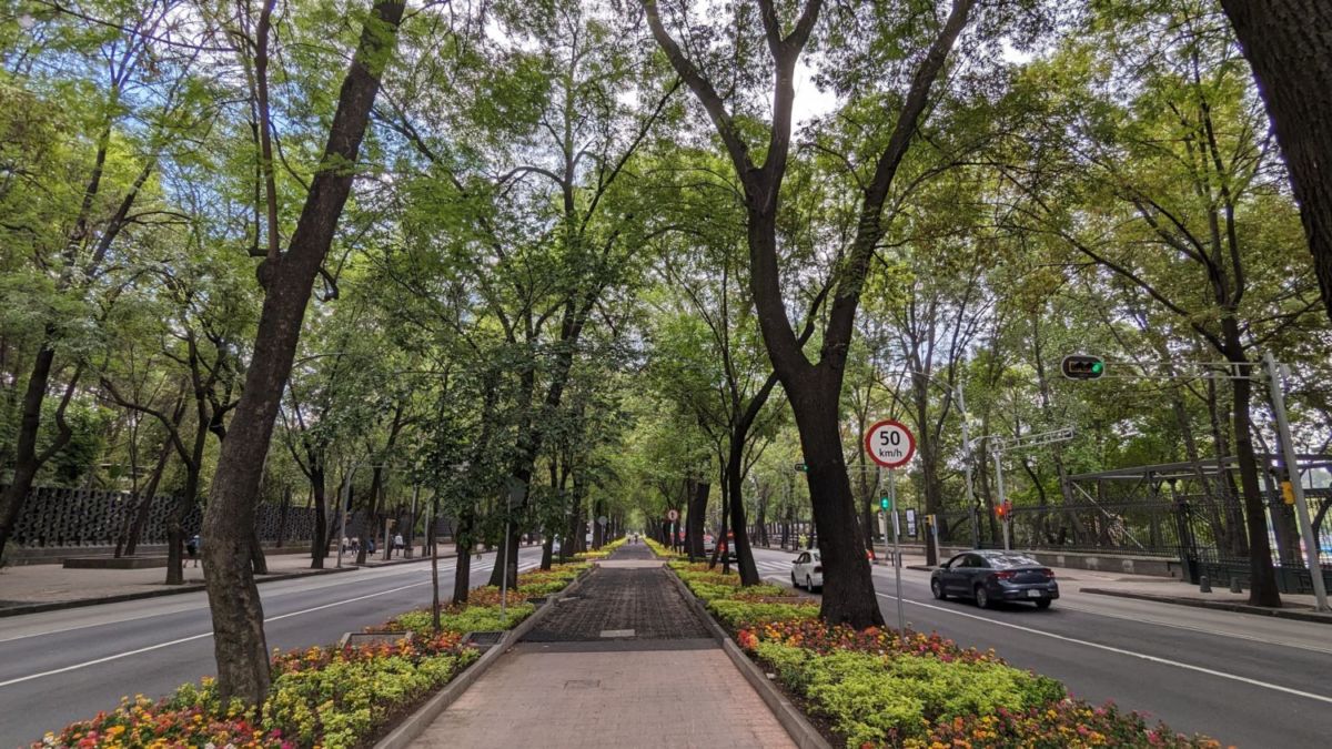 Los 5 camellones más bonitos de la CDMX para pasear el fin de semana