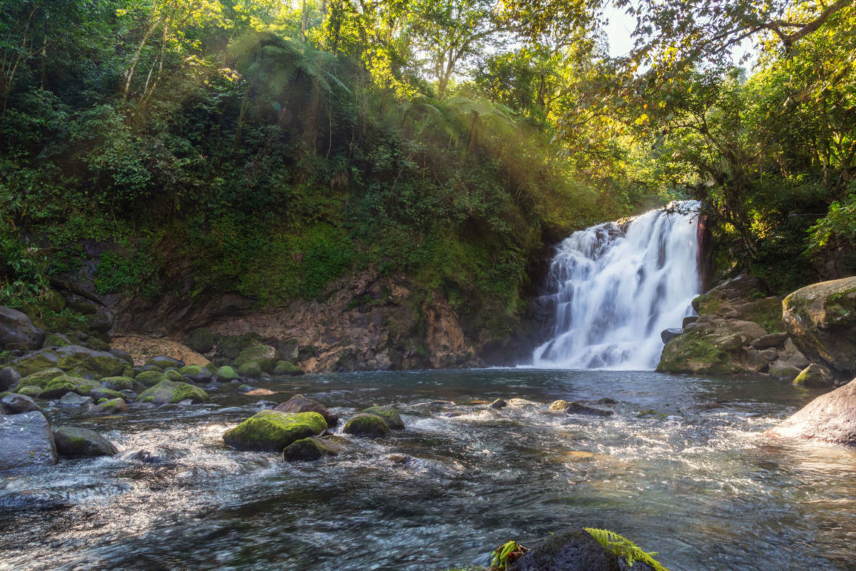 cascadas cerca de xalapa