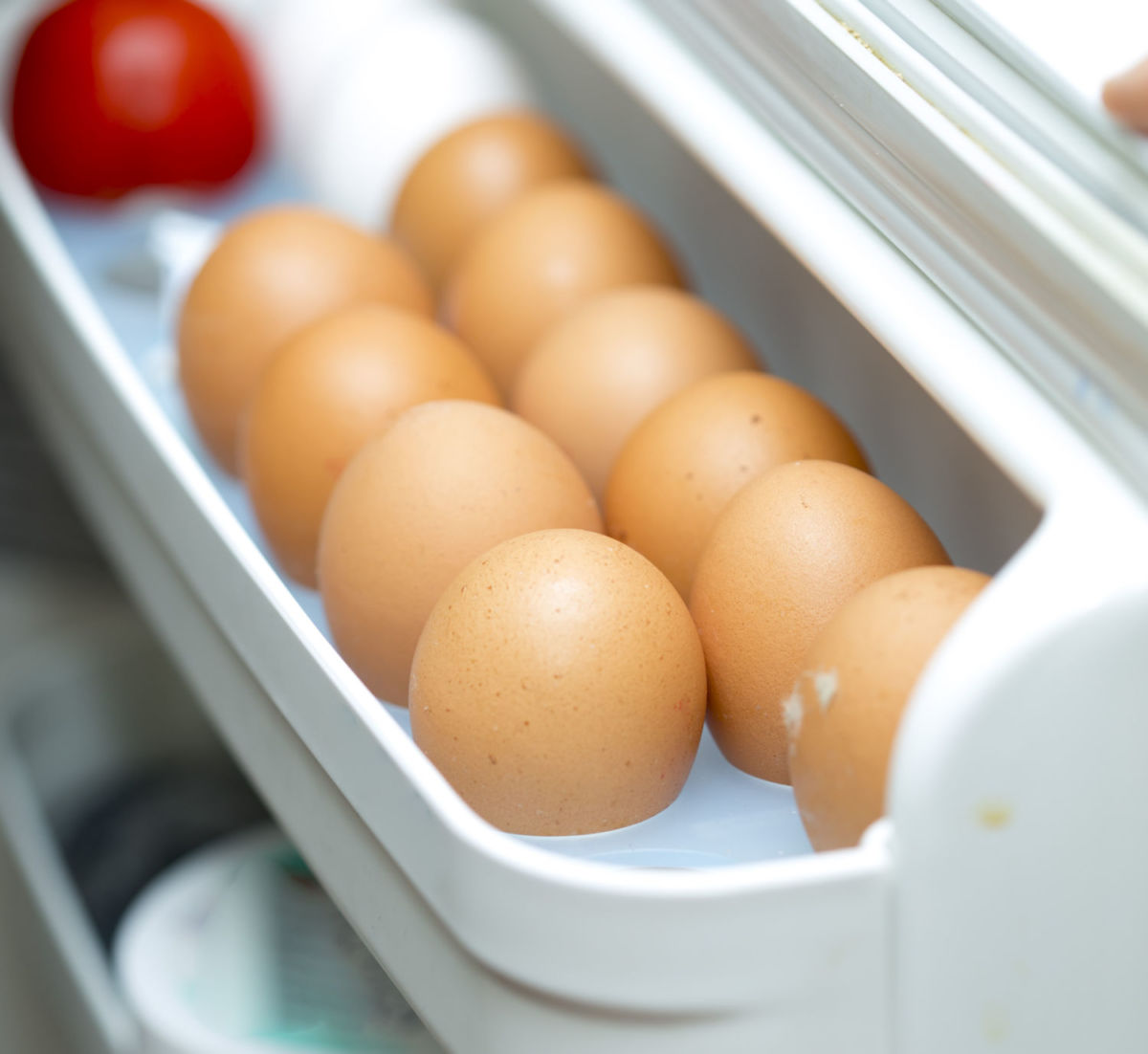 Dónde guardar el huevo