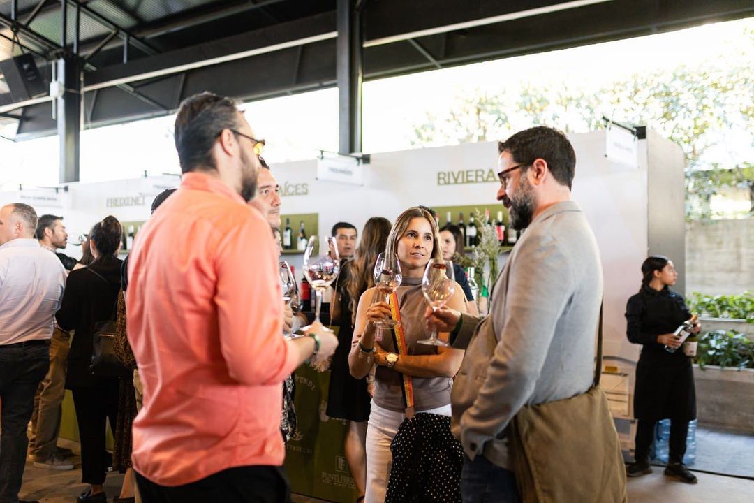 festival de la viña a la copa