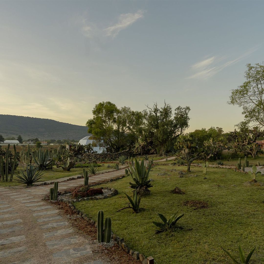 glamping en México