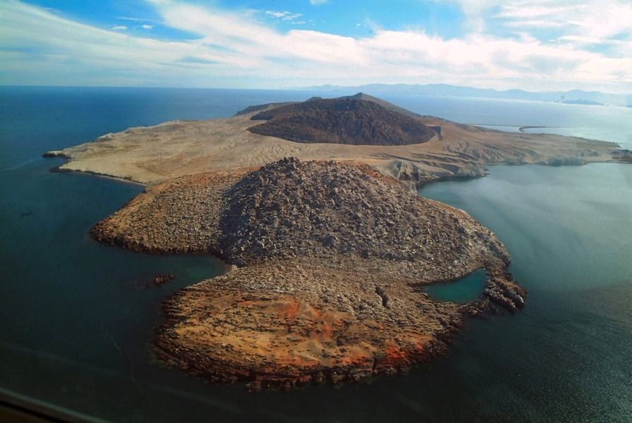 5 islas en San Felipe, Baja California que te volarán la cabeza con su belleza natural 